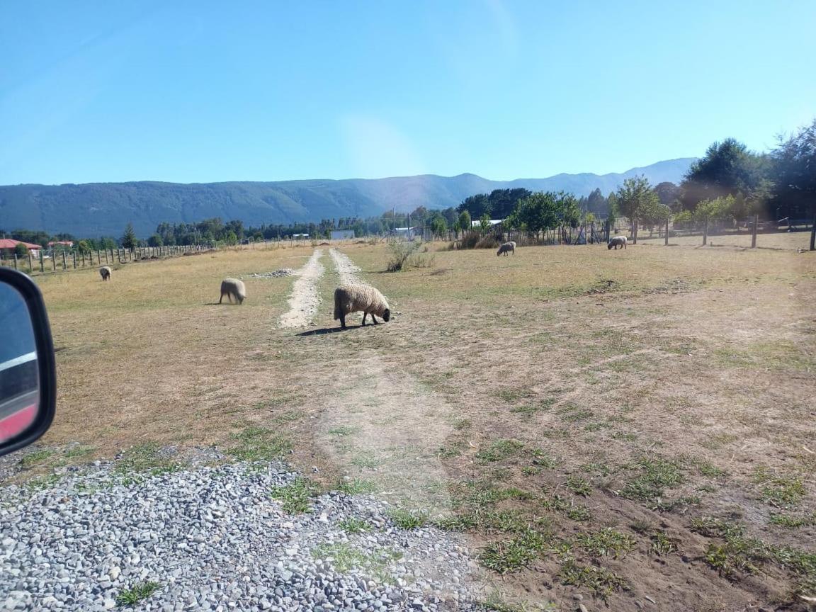 Cabana Parcela Cunco